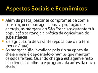 Além da pesca, bastante comprometida com a construção de barragens para a produção de energia, as margens do São Francisco garantem à população sertaneja a prática da agricultura de subsistência.  É a agricultura de vazante (época que o rio tem menos água). As margens são invadidas pelo rio na época da cheia e nela é depositado o húmus que mantém os solos férteis. Quando chega a estiagem é feito o cultivo, e a colheita é programada antes da nova cheia. 