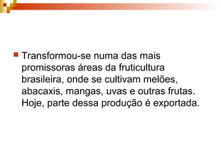  Transformou-se numa das mais
promissoras áreas da fruticultura
brasileira, onde se cultivam melões,
abacaxis, mangas, uvas e outras frutas.
Hoje, parte dessa produção é exportada.
 