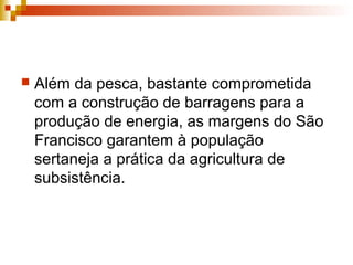  Além da pesca, bastante comprometida
com a construção de barragens para a
produção de energia, as margens do São
Francisco garantem à população
sertaneja a prática da agricultura de
subsistência.
 