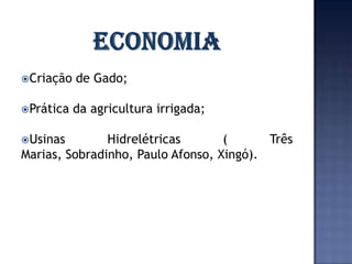 Criação   de Gado;

Prática   da agricultura irrigada;

Usinas        Hidrelétricas       (      Três
Marias, Sobradinho, Paulo Afonso, Xingó).
 