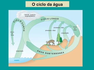 O ciclo da água
 