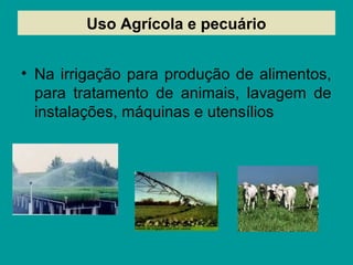 Uso Agrícola e pecuário
• Na irrigação para produção de alimentos,
para tratamento de animais, lavagem de
instalações, máquinas e utensílios
 
