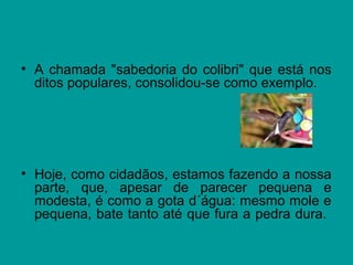 • A chamada "sabedoria do colibri" que está nos
ditos populares, consolidou-se como exemplo.
• Hoje, como cidadãos, estamos fazendo a nossa
parte, que, apesar de parecer pequena e
modesta, é como a gota d´água: mesmo mole e
pequena, bate tanto até que fura a pedra dura.
 