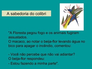 A sabedoria do colibri
"A Floresta pegou fogo e os animais fugiram
assustados.
O macaco, ao notar o beija-flor levando água no
bico para apagar o incêndio, comentou:
- Você não percebe que não vai adiantar?
O beija-flor respondeu:
- Estou fazendo a minha parte".
 