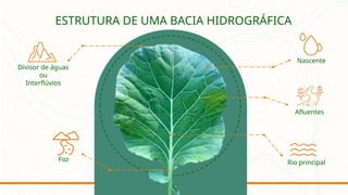 ESTRUTURA DE UMA BACIA HIDROGRÁFICA
Foz
Divisor de águas
ou
Interflúvios
Afluentes
Rio principal
Nascente