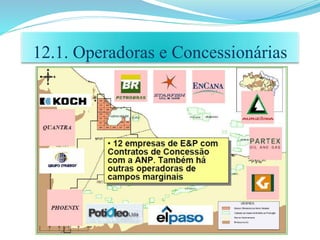 12.1. Operadoras e Concessionárias
 