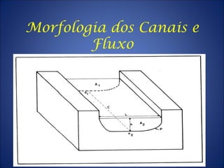 Morfologia dos Canais e
Fluxo
 