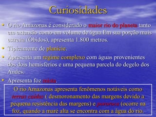 Curiosidades
• O rio Amazonas é considerado o maior rio do planeta tanto
em extensão como em volume de água.Em sua porção mais
estreita (Óbidos), apresenta 1.800 metros.
• Tipicamente de planície.
• Apresenta um regime complexo com águas provenientes
dos dois hemisférios e uma pequena parcela do degelo dos
Andes.
• Apresenta foz mista.
O rio Amazonas apresenta fenômenos notáveis como
terras caídas ( desmoronamento das margens devido a
pequena resistência das margens) e pororoca (ocorre na
foz, quando a maré alta se encontra com a água do rio.
 