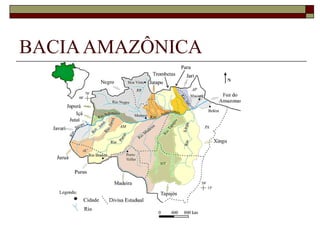BACIA AMAZÔNICA
 
