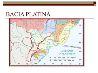 BACIA PLATINA
 