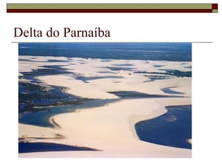 Delta do Parnaíba
 