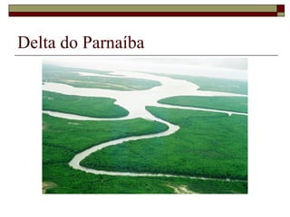 Delta do Parnaíba
 
