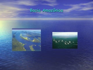 Bacia Amazônica 