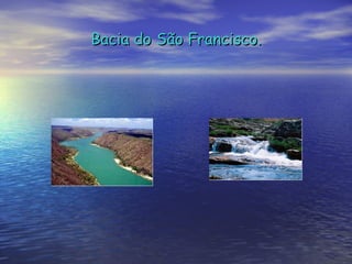 Bacia do São Francisco. 