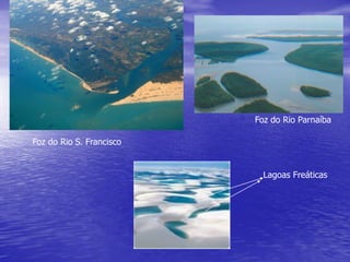 Foz do Rio S. Francisco
Foz do Rio Parnaíba
Lagoas Freáticas
 