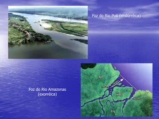Foz do Rio Poti (endorréica)
Foz do Rio Amazonas
(exorréica)
 