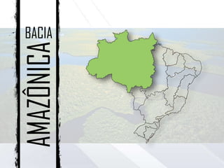 AMAZÔNICABACIA
 