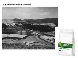 Mina de tierra de diatomeas
 