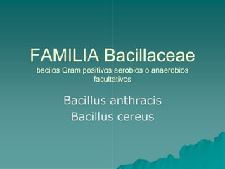 FAMILIA Bacillaceae 
bacilos Gram positivos aerobios o anaerobios 
                facultativos 


       Bacillus anthracis 
        Bacillus cereus
        Bacillus cereus 
 