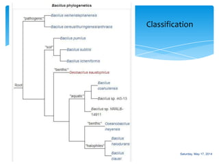 Classification
Saturday, May 17, 2014
 
