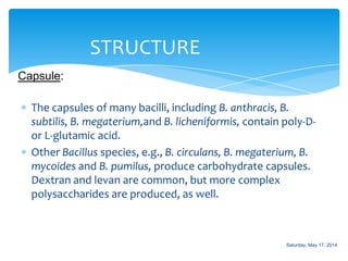 The capsules of many bacilli, including B. anthracis, B.
subtilis, B. megaterium,and B. licheniformis, contain poly-D-
or L-glutamic acid.
Other Bacillus species, e.g., B. circulans, B. megaterium, B.
mycoides and B. pumilus, produce carbohydrate capsules.
Dextran and levan are common, but more complex
polysaccharides are produced, as well.
STRUCTURE
Capsule:
Saturday, May 17, 2014
 