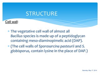 The vegetative cell wall of almost all
Bacillus species is made up of a peptidoglycan
containing meso-diaminopimelic acid (DAP).
(The cell walls of Sporosarcina pasteurii and S.
globisporus, contain lysine in the place of DAP.)
STRUCTURE
Cell wall:
Saturday, May 17, 2014
 