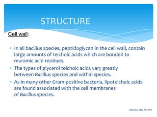 In all bacillus species, peptidoglycan in the cell wall, contain
large amounts of teichoic acids which are bonded to
muramic acid residues.
The types of glycerol teichoic acids vary greatly
between Bacillus species and within species.
As in many other Gram-positive bacteria, lipoteichoic acids
are found associated with the cell membranes
of Bacillus species.
STRUCTURE
Cell wall:
Saturday, May 17, 2014
 