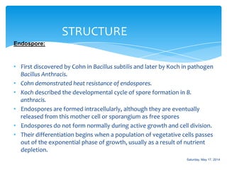 • First discovered by Cohn in Bacillus subtilis and later by Koch in pathogen
Bacillus Anthracis.
• Cohn demonstrated heat resistance of endospores.
• Koch described the developmental cycle of spore formation in B.
anthracis.
• Endospores are formed intracellularly, although they are eventually
released from this mother cell or sporangium as free spores
• Endospores do not form normally during active growth and cell division.
• Their differentiation begins when a population of vegetative cells passes
out of the exponential phase of growth, usually as a result of nutrient
depletion.
STRUCTURE
Endospore:
Saturday, May 17, 2014
 