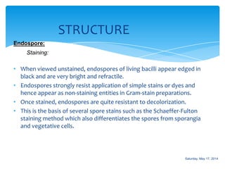 STRUCTURE
Endospore:
Staining:
• When viewed unstained, endospores of living bacilli appear edged in
black and are very bright and refractile.
• Endospores strongly resist application of simple stains or dyes and
hence appear as non-staining entities in Gram-stain preparations.
• Once stained, endospores are quite resistant to decolorization.
• This is the basis of several spore stains such as the Schaeffer-Fulton
staining method which also differentiates the spores from sporangia
and vegetative cells.
Saturday, May 17, 2014
 