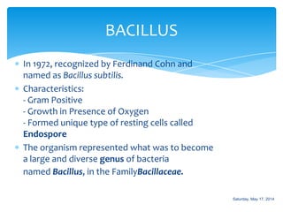In 1972, recognized by Ferdinand Cohn and
named as Bacillus subtilis.
Characteristics:
- Gram Positive
- Growth in Presence of Oxygen
- Formed unique type of resting cells called
Endospore
The organism represented what was to become
a large and diverse genus of bacteria
named Bacillus, in the FamilyBacillaceae.
BACILLUS
Saturday, May 17, 2014
 
