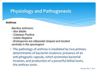 Physiology and Pathogenesis
Anthrax
The pathology of anthrax is mediated by two primary
determinants of bacterial virulence: presence of an
anti-phagoytic capsule, which promotes bacterial
invasion, and production of a powerful lethal toxin,
the anthrax toxin.
Bacillus anthracis:
- Non Motile
- Catalase Positive
- Indole Negative
- Endospores are ellipsoidal shaped and located
centrally in the sporangium
Saturday, May 17, 2014
 