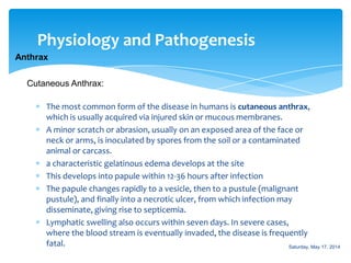 Physiology and Pathogenesis
Anthrax
The most common form of the disease in humans is cutaneous anthrax,
which is usually acquired via injured skin or mucous membranes.
A minor scratch or abrasion, usually on an exposed area of the face or
neck or arms, is inoculated by spores from the soil or a contaminated
animal or carcass.
a characteristic gelatinous edema develops at the site
This develops into papule within 12-36 hours after infection
The papule changes rapidly to a vesicle, then to a pustule (malignant
pustule), and finally into a necrotic ulcer, from which infection may
disseminate, giving rise to septicemia.
Lymphatic swelling also occurs within seven days. In severe cases,
where the blood stream is eventually invaded, the disease is frequently
fatal.
Cutaneous Anthrax:
Saturday, May 17, 2014
 