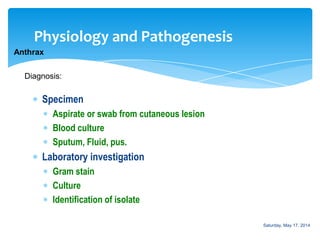 Physiology and Pathogenesis
Anthrax
Specimen
Aspirate or swab from cutaneous lesion
Blood culture
Sputum, Fluid, pus.
Laboratory investigation
Gram stain
Culture
Identification of isolate
Diagnosis:
Saturday, May 17, 2014
 