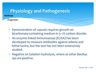 Physiology and Pathogenesis
Anthrax
• Demonstration of capsule requires growth on
bicarbonate-containing medium in 5–7% carbon dioxide.
• An enzyme-linked immunoassay (ELISA) has been
developed to measure antibodies against edema and
lethal toxins, but the test has not been extensively
studied.
• Negative on Gelation hydrolysis, where as other Bacillus
sps are positive.
Diagnosis:
Saturday, May 17, 2014
 
