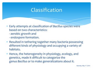 Early attempts at classification of Bacillus species were
based on two characteristics:
- aerobic growth and
- endospore formation.
Resulted in tethering together many bacteria possessing
different kinds of physiology and occupying a variety of
habitats.
Hence, the heterogeneity in physiology, ecology, and
genetics, made it difficult to categorize the
genus Bacillus or to make generalizations about it.
Classification
Saturday, May 17, 2014
 