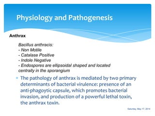 Bacteriology: Bacillus Slide 38