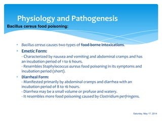 Bacteriology: Bacillus Slide 47
