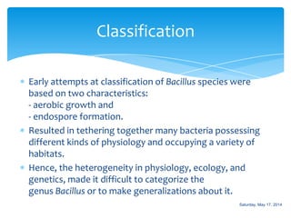 Bacteriology: Bacillus Slide 9