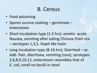 Bacillus | PPTX