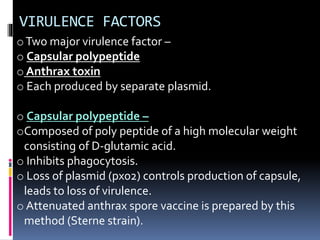 VIRULENCE FACTORS
oTwo major virulence factor –
o Capsular polypeptide
o Anthrax toxin
o Each produced by separate plasmid.
o Capsular polypeptide –
oComposed of poly peptide of a high molecular weight
consisting of D-glutamic acid.
o Inhibits phagocytosis.
o Loss of plasmid (px02) controls production of capsule,
leads to loss of virulence.
o Attenuated anthrax spore vaccine is prepared by this
method (Sterne strain).
 