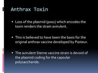  Loss of the plasmid (px01) which encodes the
toxin renders the strain avirulent.
 This is believed to have been the basis for the
original anthrax vaccine developed by Pasteur.
 The avirulent Sterne vaccine strain is devoid of
the plasmid coding for the capsular
polysaccharide.
Anthrax Toxin
 