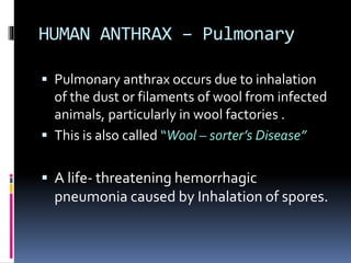 HUMAN ANTHRAX – Pulmonary
 Pulmonary anthrax occurs due to inhalation
of the dust or filaments of wool from infected
animals, particularly in wool factories .
 This is also called “Wool – sorter’s Disease”
 A life- threatening hemorrhagic
pneumonia caused by Inhalation of spores.
 