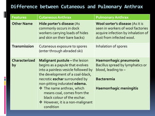 Difference between Cutaneous and Pulmonary Anthrax
Features Cutaneous Anthrax Pulmonary Anthrax
Other Name Hide porter’s disease (As
commonly occurs in dock
workers carrying loads of hides
and skin on their bare backs)
Wool sorter’s disease (As it is
seen in workers of wool factories
acquire infection by inhalation of
dust from infected wool.
Transmission Cutaneous exposure to spores
(enter through abraded ski)
Inhalation of spores
Characterized
by
Malignant pustule – the lesion
begins as a papule that evolves
into a painless vesicle followed by
the development of a coal-black,
necrotic eschar surrounded by
non-pitting indurated edema.
 The name anthrax, which
means coal, comes from the
black colour of the eschar.
 However, it is a non-malignant
condition
Haemorrhagic pneumonia
Bacillus spread by lymphatics or
blood, leading to –
Bacteremia
Haemorrhagic meningitis
 