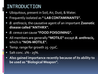 INTRODUCTION
 Ubiquitous, present in Soil, Air, Dust, &Water.
 Frequently isolated as “ LAB CONTAMINANTS”.
 B. anthracis, the causative agent of an important Zoonotic
disease called “ANTHRX”.
 B. cereus can cause “FOOD POISOINING”.
 All members are generally “MOTILE” except B. anthracis,
which is “NON-MOTILE”.
 Temp. range for growth 25 -750C.
 Salt conc. 2% - 25%.
 Also gained importance recently because of its ability to
be used as “Biological Weapon”.
 