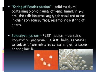  “String of Pearls reaction” – solid medium
containing 0.05-0.5 units of Penicillin/ml, in 3-6
hrs. the cells become large, spherical and occur
in chains on agar surface, resembling a string of
pearls.
 Selective medium – PLET medium – contains
Polymyxin, Lysozyme, EDTA &Thallous acetate :
to isolate it from mixtures containing other spore
bearing bacilli.
 