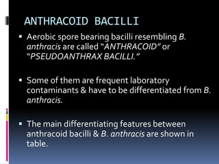 ANTHRACOID BACILLI
 Aerobic spore bearing bacilli resembling B.
anthracis are called “ANTHRACOID” or
“PSEUDOANTHRAX BACILLI.”
 Some of them are frequent laboratory
contaminants & have to be differentiated from B.
anthracis.
 The main differentiating features between
anthracoid bacilli & B. anthracis are shown in
table.
 