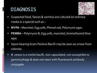 DIAGNOSIS
 Suspected food, faeces & vomitus are cultured on ordinary
media or a special such as –
 MYPA - Mannitol, Egg yolk, Phenol red, Polymyxin agar.
 PEMBA – Polymyxin B, Egg yolk, mannitol, bromothymol blue
agar.
 Spore bearing Gram Positive Bacilli may be seen on smear from
colonies.
 B. cereus is a motile bacilli, non-capsulated, not susceptible to
gamma phage & does not react with fluorescent antibody
conjugate.
 