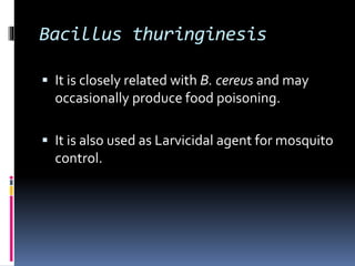 Bacillus thuringinesis
 It is closely related with B. cereus and may
occasionally produce food poisoning.
 It is also used as Larvicidal agent for mosquito
control.
 