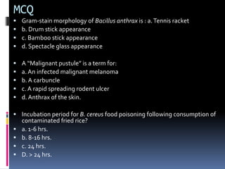 MCQ
 Gram-stain morphology of Bacillus anthrax is : a.Tennis racket
 b. Drum stick appearance
 c. Bamboo stick appearance
 d. Spectacle glass appearance
 A “Malignant pustule” is a term for:
 a. An infected malignant melanoma
 b. A carbuncle
 c. A rapid spreading rodent ulcer
 d. Anthrax of the skin.
 Incubation period for B. cereus food poisoning following consumption of
contaminated fried rice?
 a. 1-6 hrs.
 b. 8-16 hrs.
 c. 24 hrs.
 D. > 24 hrs.
 