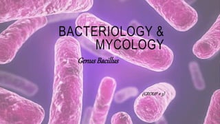 BACTERIOLOGY &
MYCOLOGY
Genus Bacillus
(GROUP # 3)
 